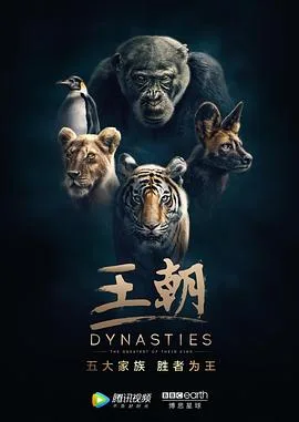 王朝 第一季 国语版
