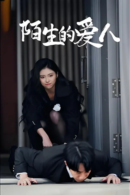 陌生的爱人