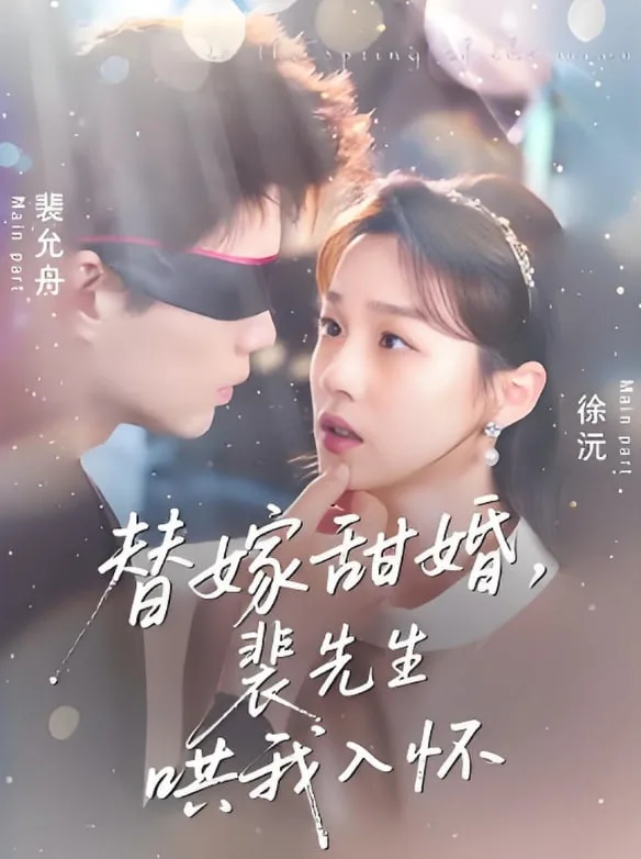 替嫁甜婚裴先生哄我入怀