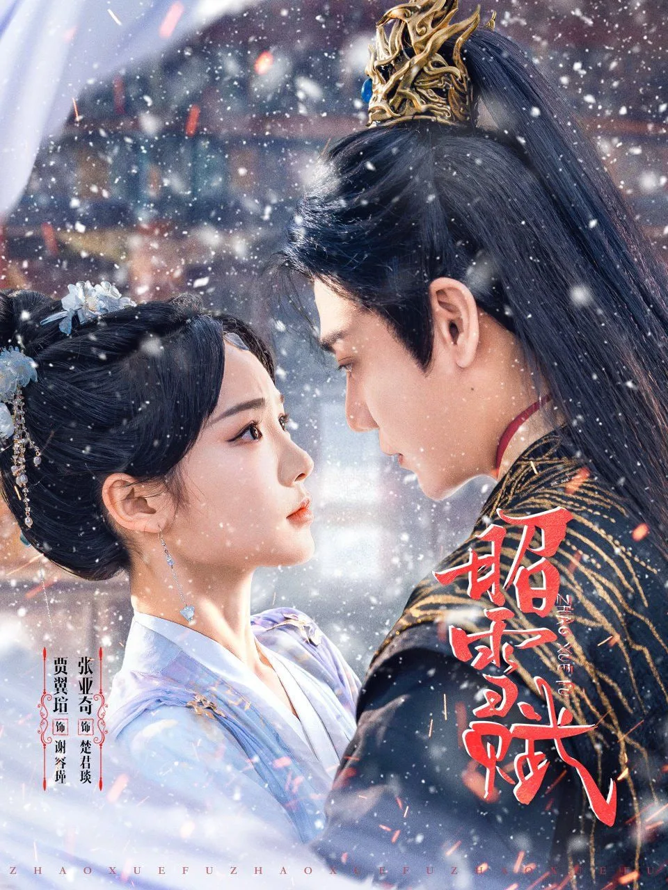 昭雪赋