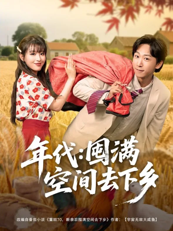 年代囤满空间去下乡