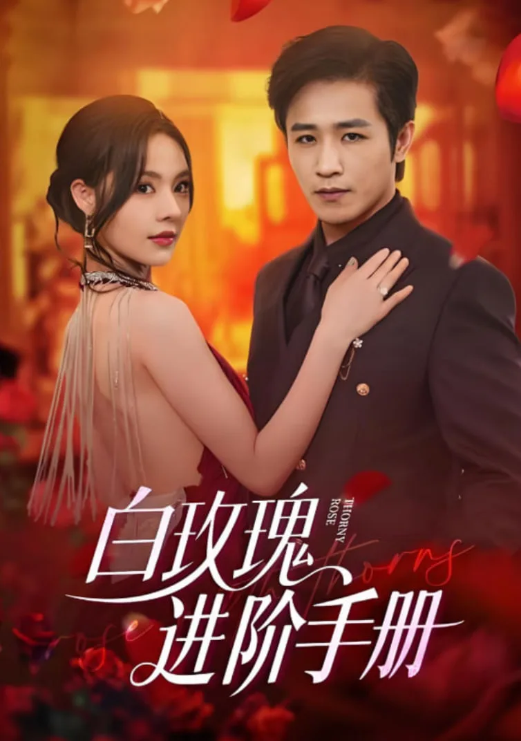 白玫瑰进阶手册