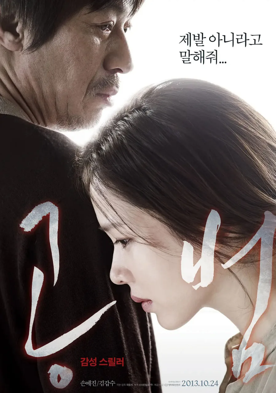 共犯 2013
